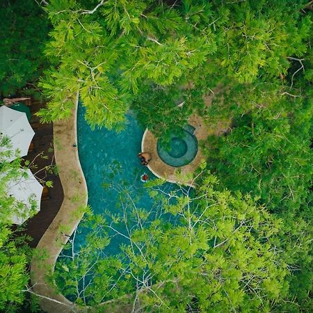 Hotel Bosque Del Mar Playa Hermosa プラヤ・エルモサ エクステリア 写真