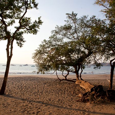 Hotel Bosque Del Mar Playa Hermosa プラヤ・エルモサ エクステリア 写真
