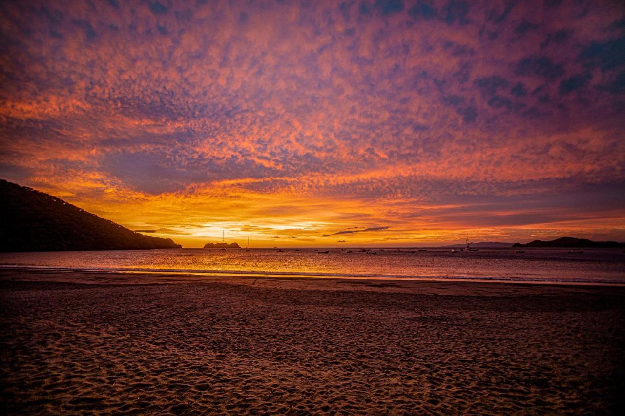 Hotel Bosque Del Mar Playa Hermosa エクステリア 写真