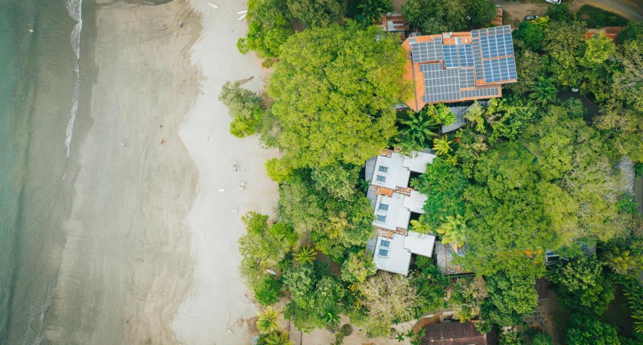 Hotel Bosque Del Mar Playa Hermosa プラヤ・エルモサ エクステリア 写真