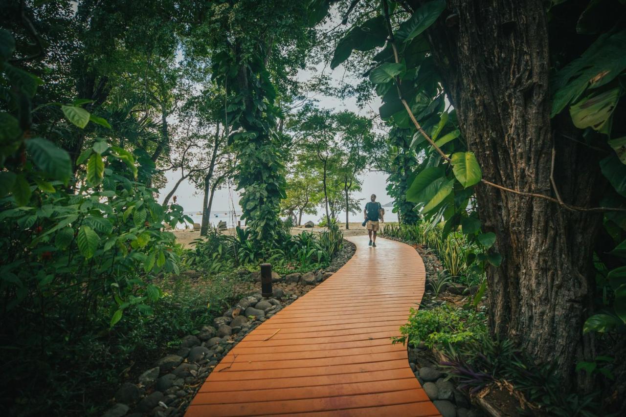 Hotel Bosque Del Mar Playa Hermosa エクステリア 写真