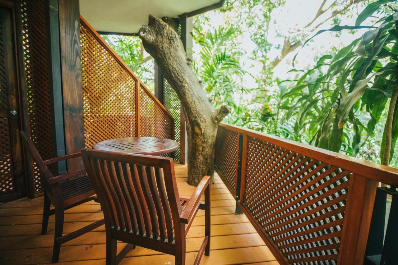 Hotel Bosque Del Mar Playa Hermosa エクステリア 写真
