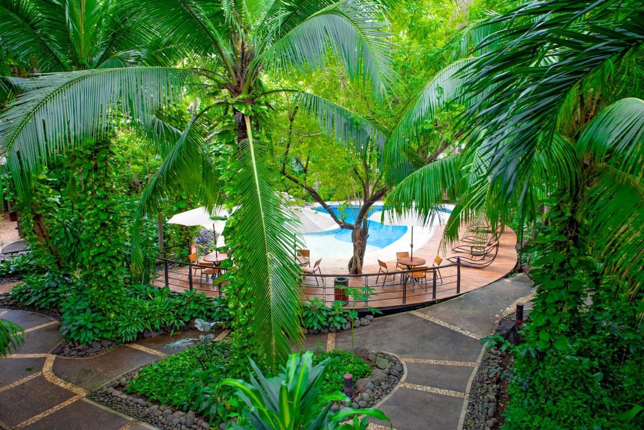 Hotel Bosque Del Mar Playa Hermosa プラヤ・エルモサ エクステリア 写真