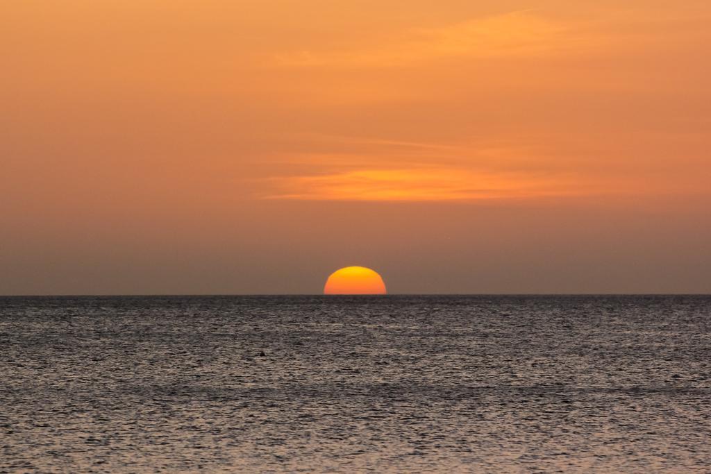 Hotel Bosque Del Mar Playa Hermosa エクステリア 写真