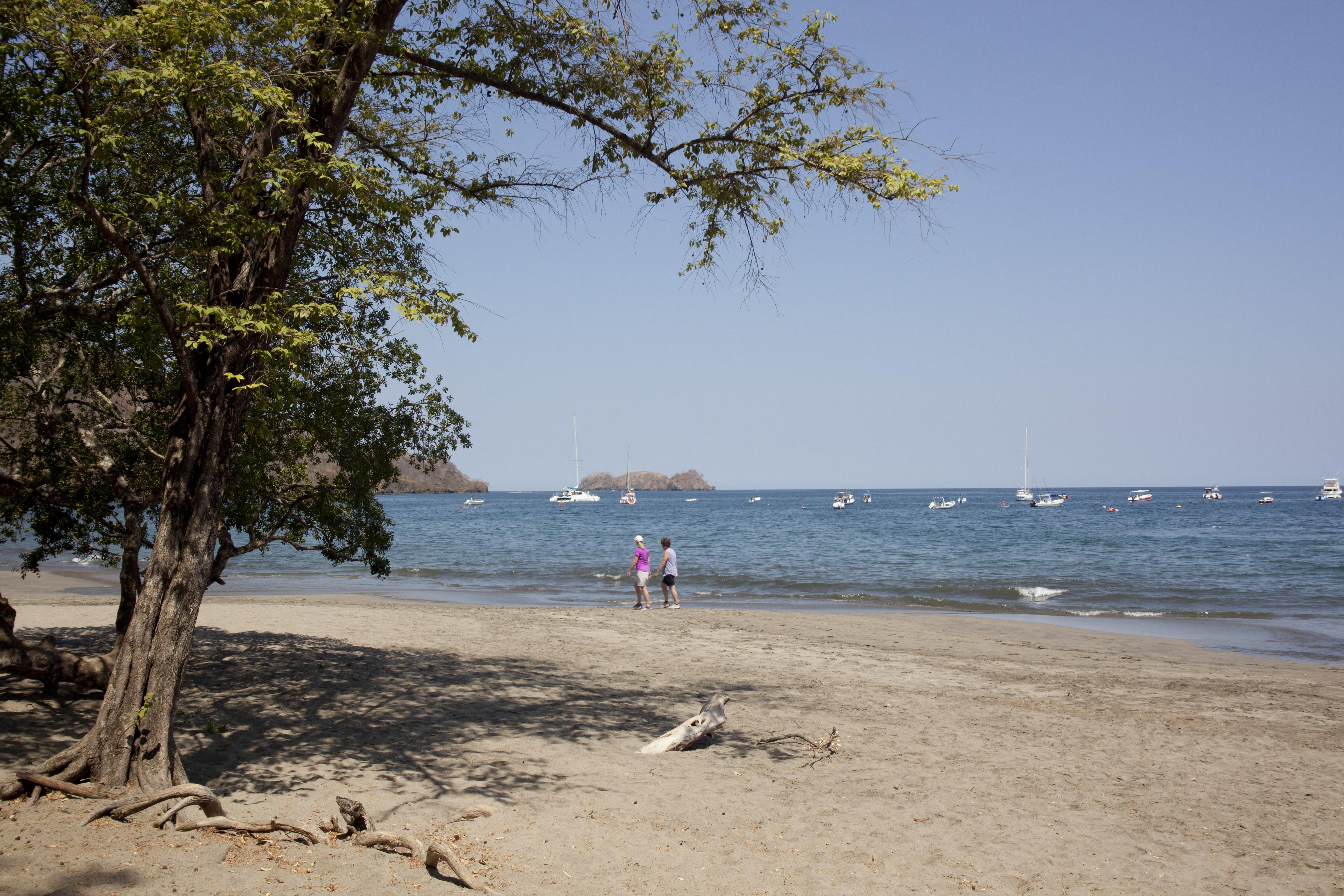 Hotel Bosque Del Mar Playa Hermosa エクステリア 写真