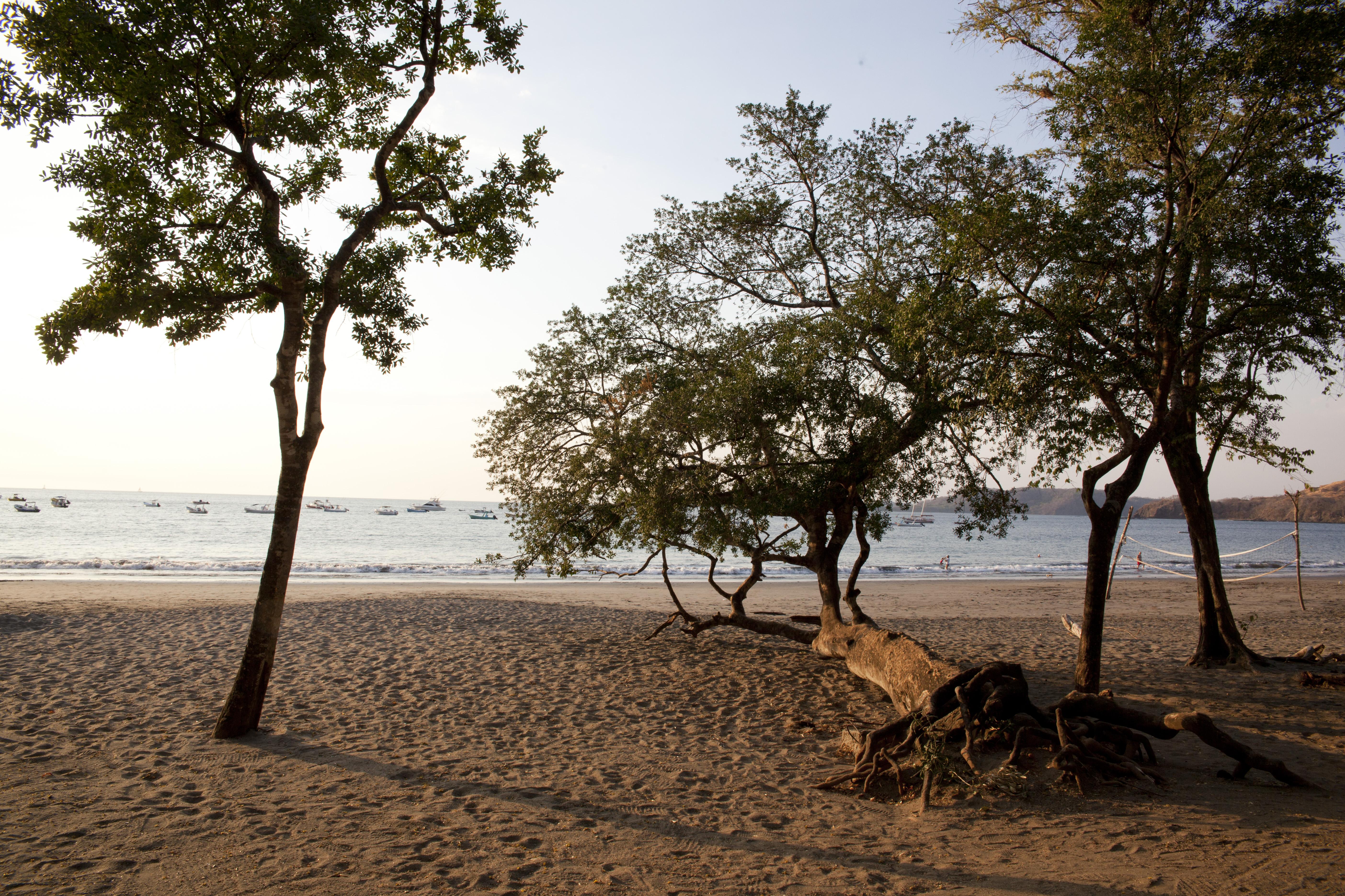 Hotel Bosque Del Mar Playa Hermosa プラヤ・エルモサ エクステリア 写真