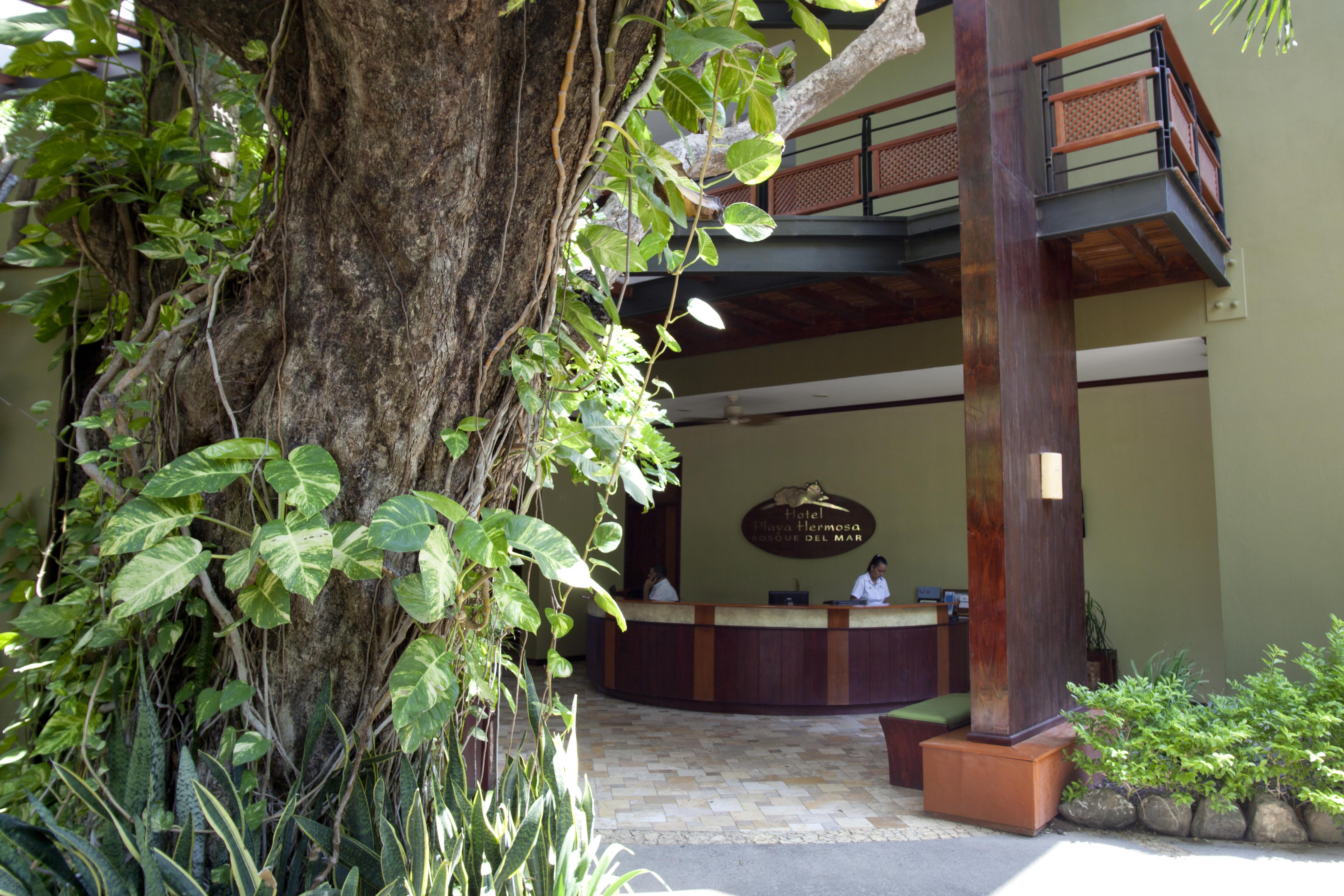 Hotel Bosque Del Mar Playa Hermosa プラヤ・エルモサ エクステリア 写真
